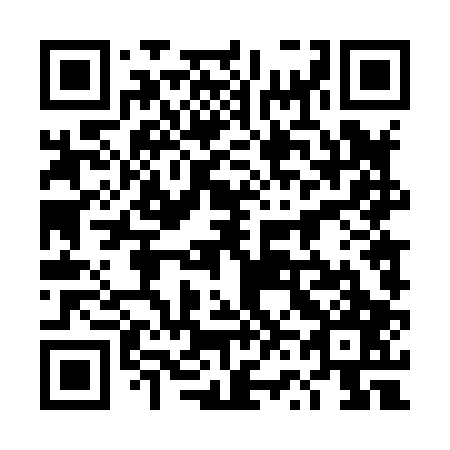 QR code for plate 4V 4807