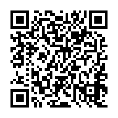 QR code for plate 4VT 859