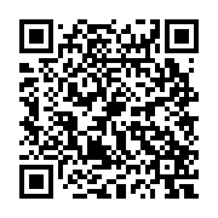 QR code for plate 4WP 307