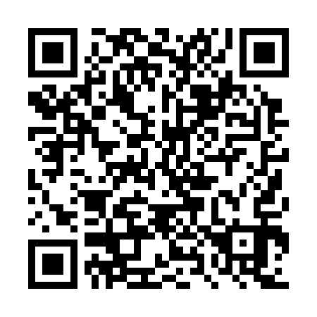 QR code for 4X 0313