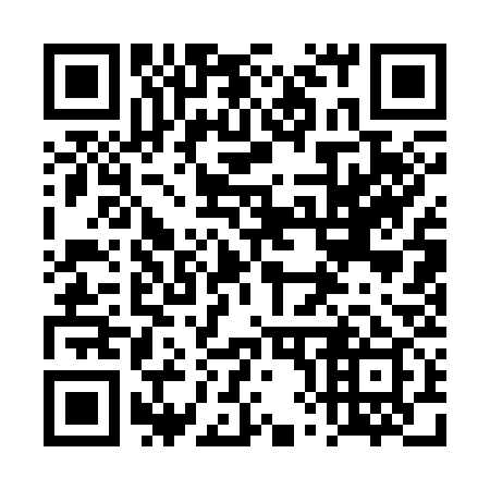QR code for plate 4X 1339