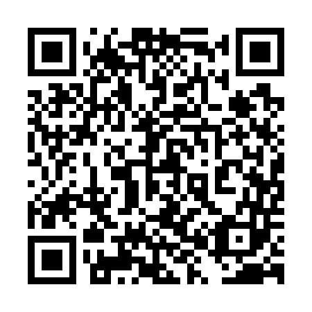 QR code for plate 4X 1743