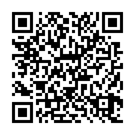 QR code for plate 4X 2728