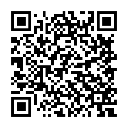 QR code for plate 4X 8853
