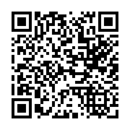 QR code for plate 4X 9379