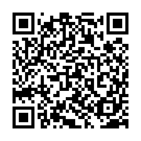 QR code for plate 4X 9550
