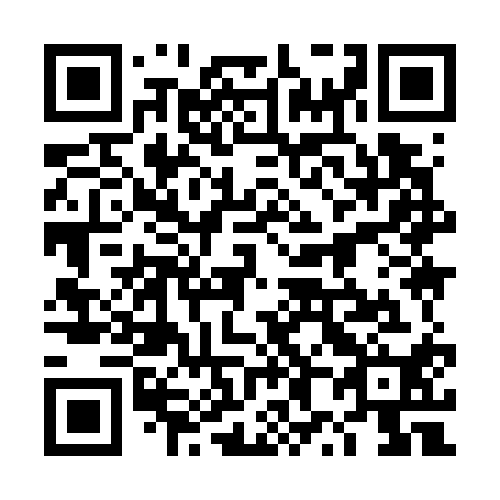 QR code for plate 4X 9710