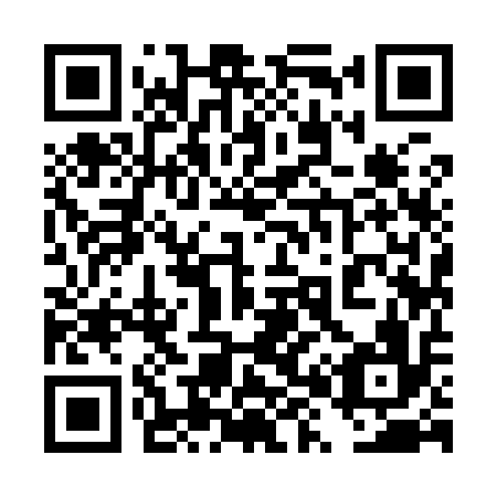 QR code for plate 4X 9916