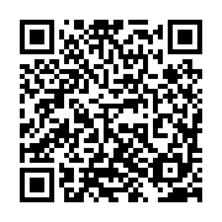 QR code for plate 4XJ 295