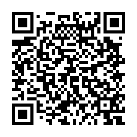 QR code for plate 4YQ 051
