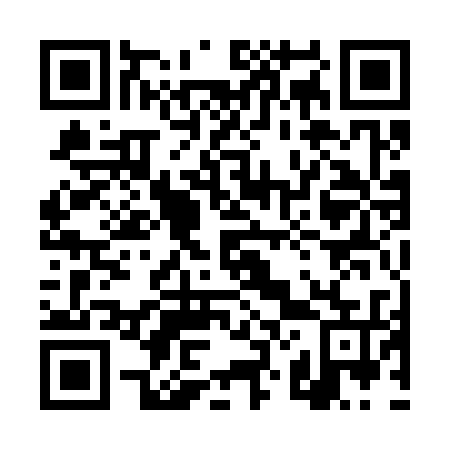 QR code for plate 4Z 1335