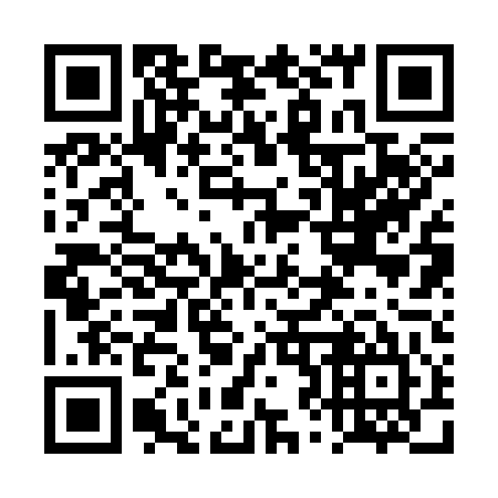 QR code for plate 4Z 2345