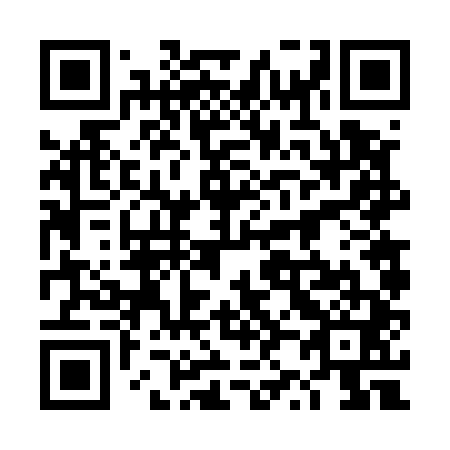 QR code for plate 4Z 6541
