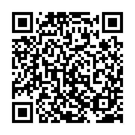 QR code for plate 4ZE 383