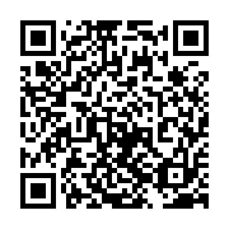 QR code for 4ZG 913