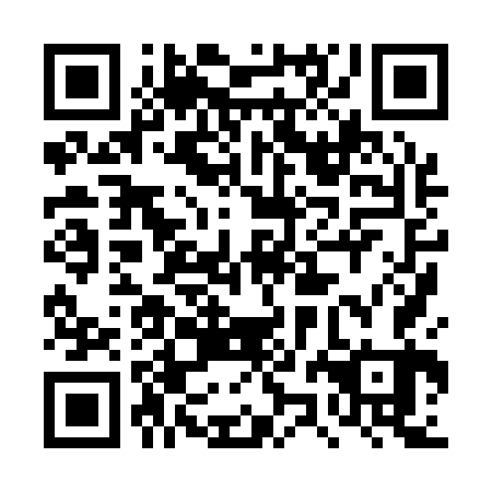 QR code for plate 4ZH 163