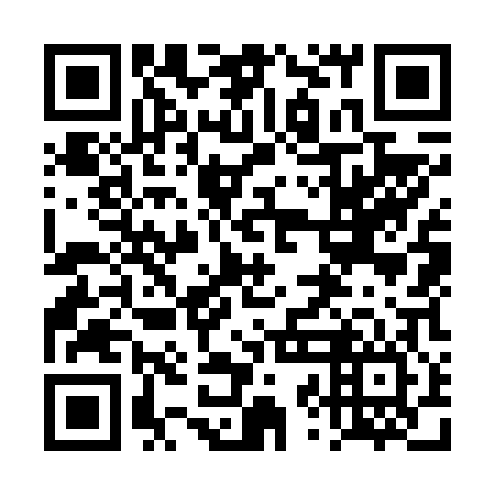 QR code for plate 4ZO 606
