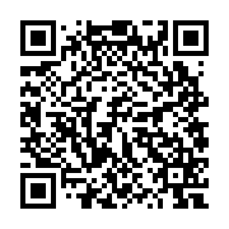 QR code for plate 4ZV 365