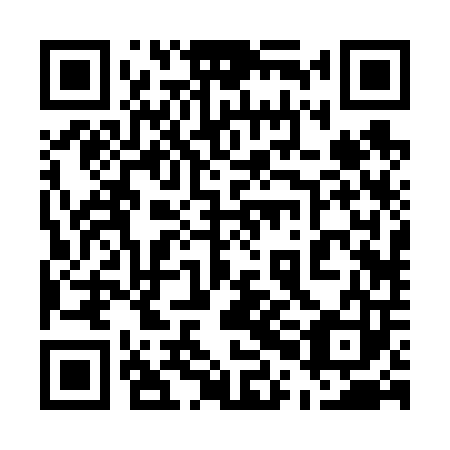 QR code for plate 50B 603