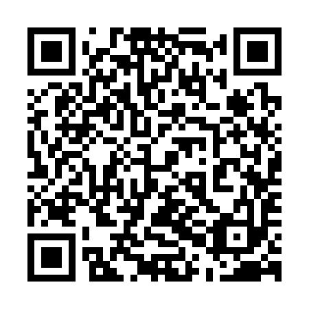 QR code for plate 50C 393