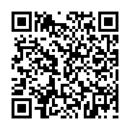 QR code for 50N 383