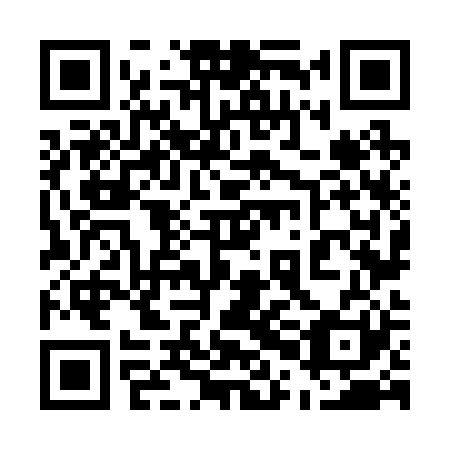 QR code for plate 50N 221