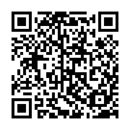 QR code for plate 50Q 095