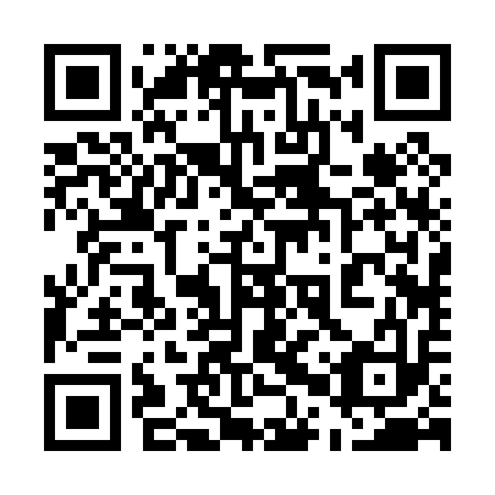 QR code for plate 50R 013