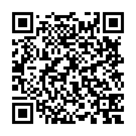 QR code for 50S 838