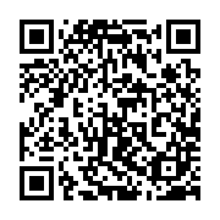 QR code for 50T383