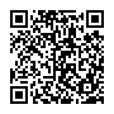 QR code for plate 50T 676
