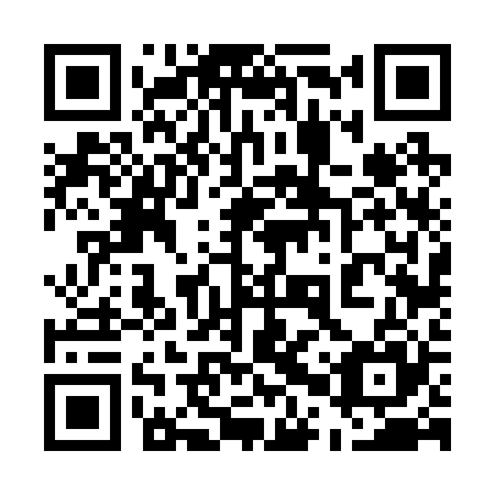 QR code for 50V 225