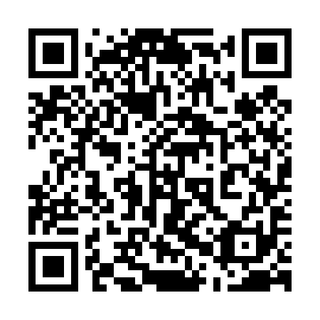 QR code for plate 50W 491