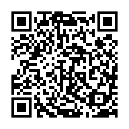 QR code for 50X 599