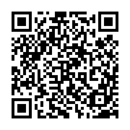 QR code for plate 51B 452