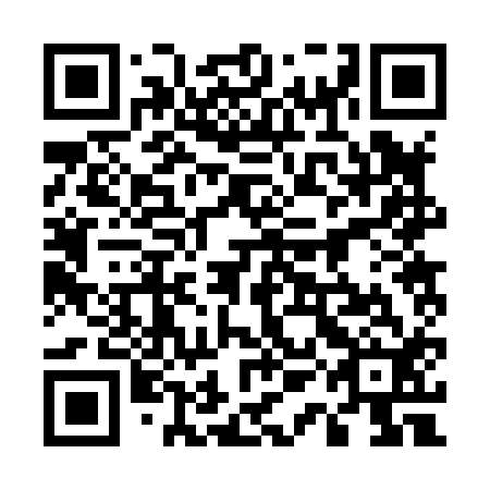 QR code for plate 51B 812