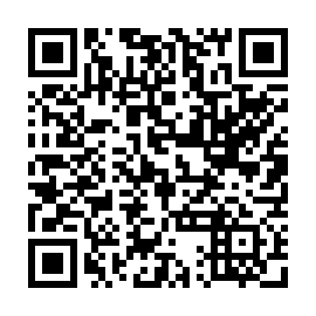 QR code for plate 51D 271