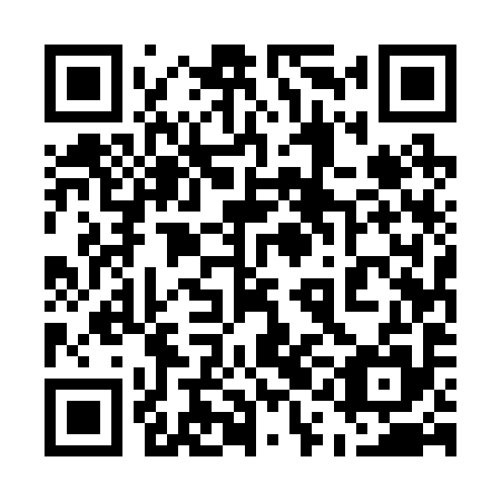 QR code for plate 51E 295