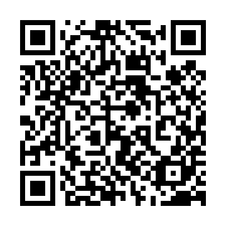 QR code for plate 51E 480