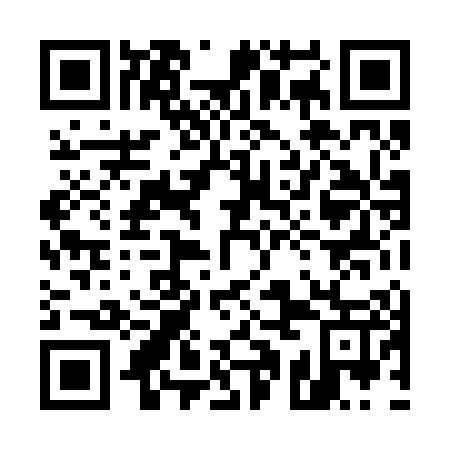 QR code for 51L 207