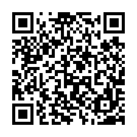 QR code for plate 51L 696