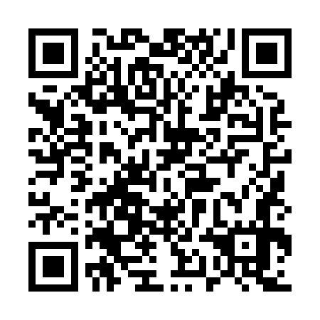 QR code for plate 51L 877