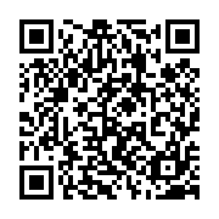 QR code for plate 51O 417