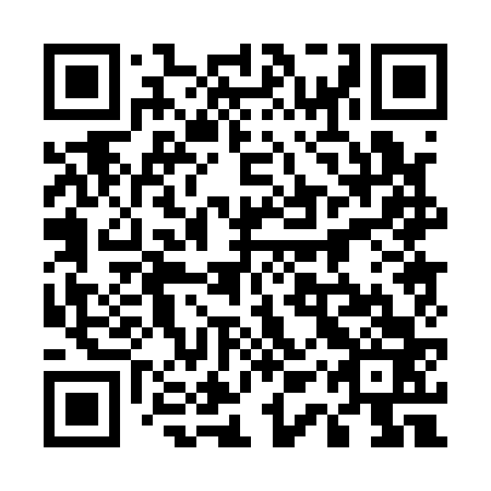 QR code for 51P 163