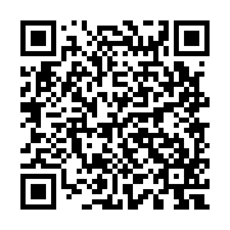 QR code for 51P 197