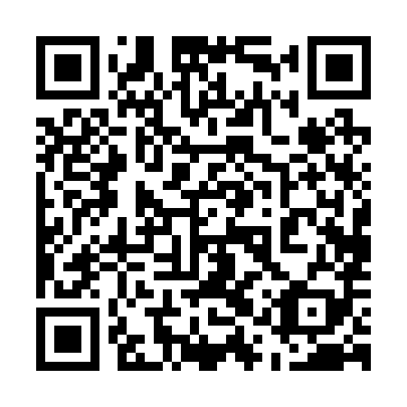 QR code for 51P 289