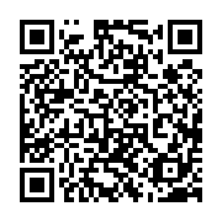 QR code for 51P 510