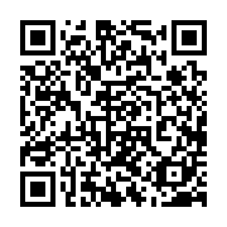 QR code for 51P301