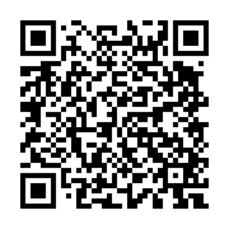 QR code for 51P441