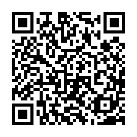 QR code for 51P551